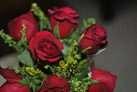 indir (1).webp