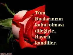 indir.webp