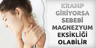 indir.webp