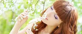 indir.webp