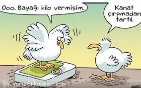 indir.webp