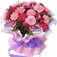 indir.webp