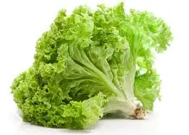 indir.webp