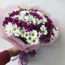 indir.webp