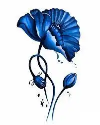 indir.webp