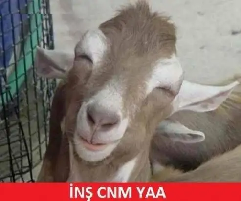 inş cnm ya.webp