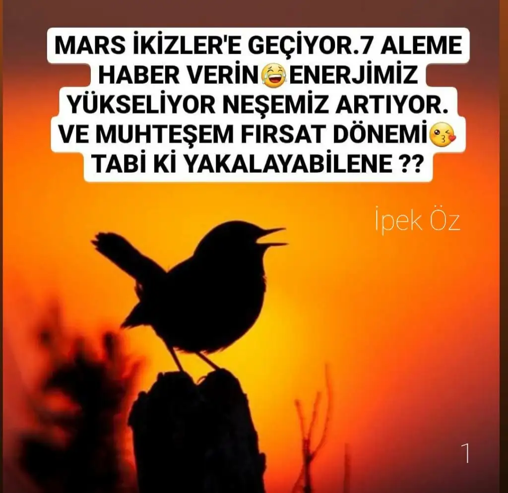 ipek öz mars (1).webp