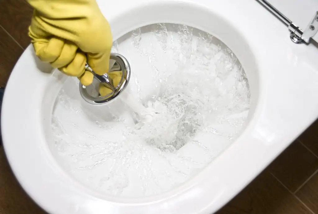 iStock_000012847607_Large.webp