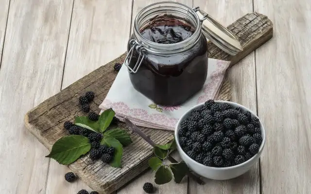 iStock_000030470504_Large-640x400.webp