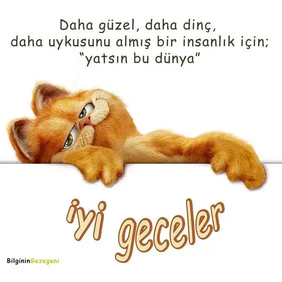 İyi-Geceler-Mesajları-Garfield.webp