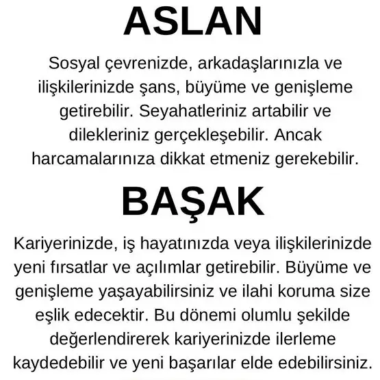j11 (4).webp