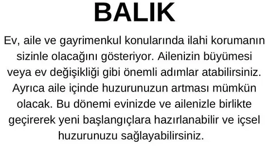 j11 (9).webp