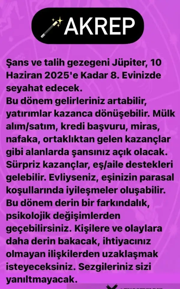 j12 (8).webp