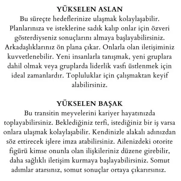 j14 (4).webp
