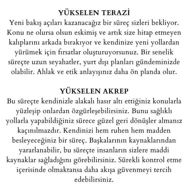 j14 (5).webp