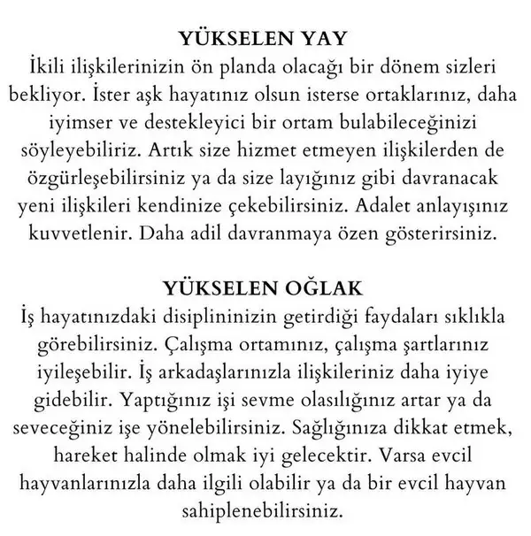 j14 (6).webp