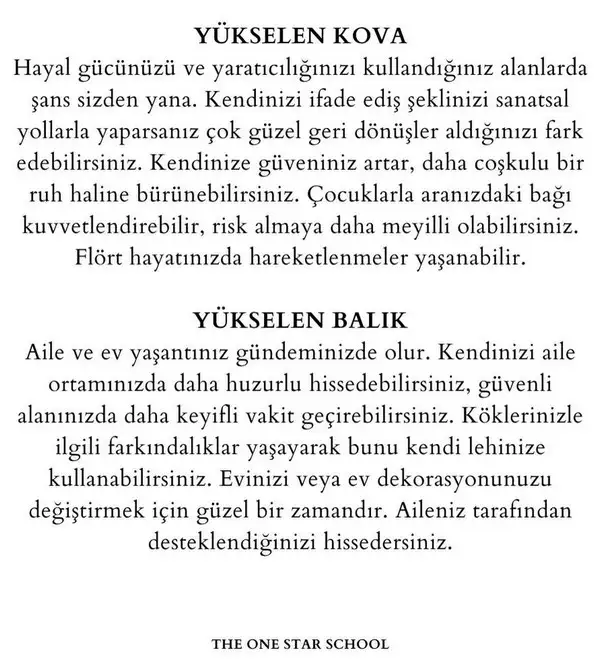 j14 (7).webp