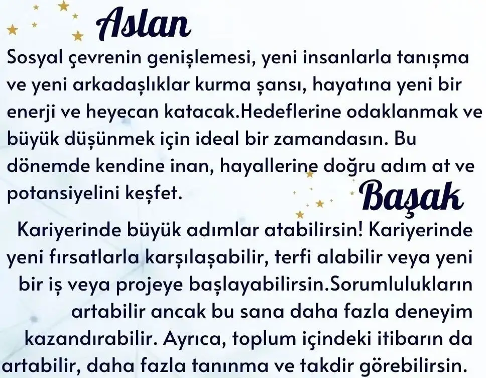 j33 (3).webp