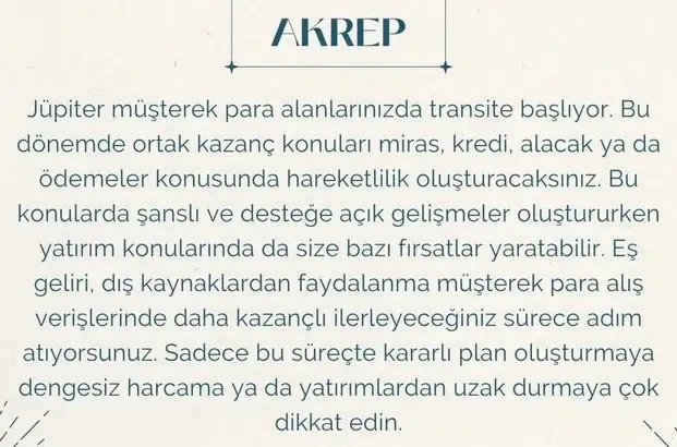 j52 (8).webp