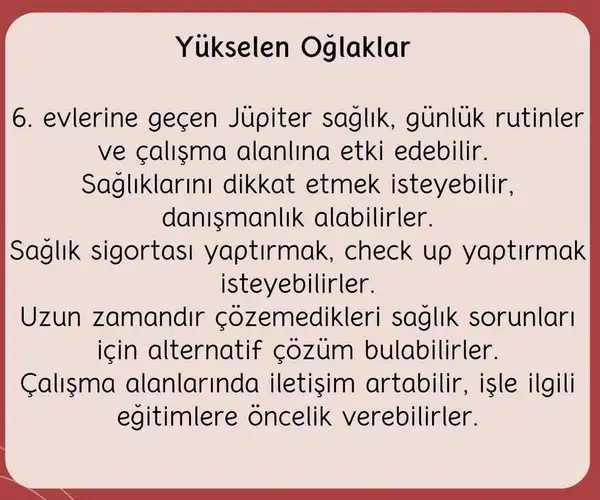 j53 (11).webp