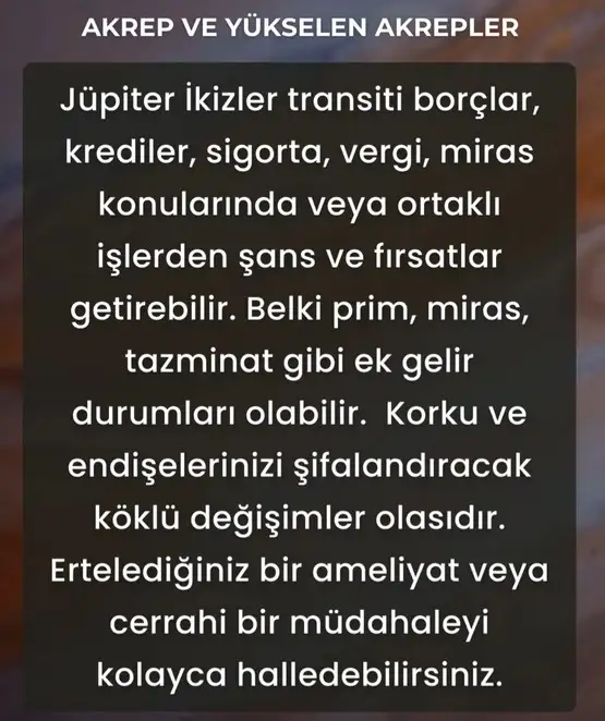 j9 (10).webp