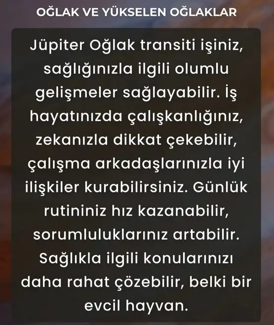 j9 (13).webp