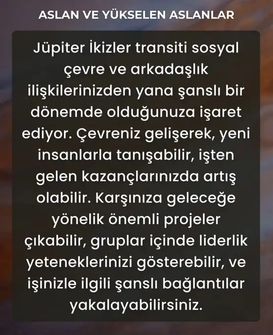 j9 (6).webp