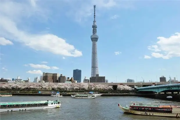 japonya,eLgK339eFUClEmn3nnNKaQ.webp