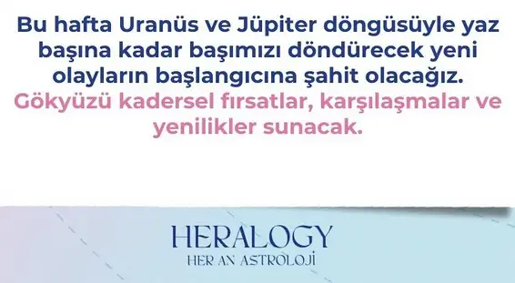 jj.webp