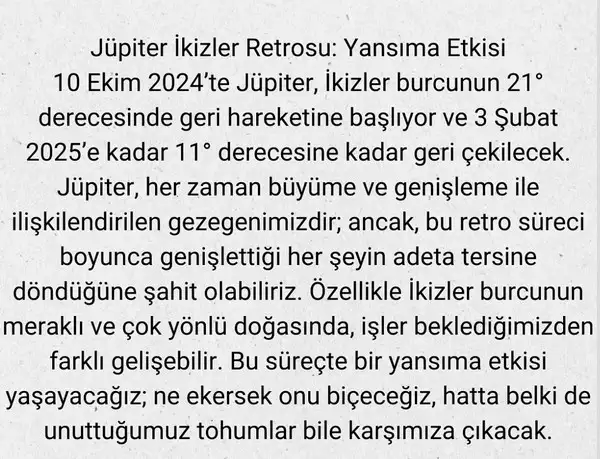 jjj (2).webp