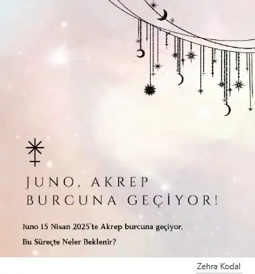 jju.webp