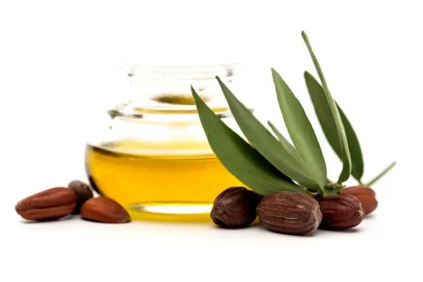 jojoba_yagi_sac_cikarma_yontemi.webp