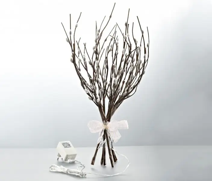 jpg (5).webp