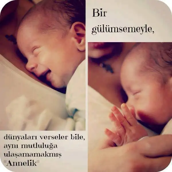 jpygtv.webp