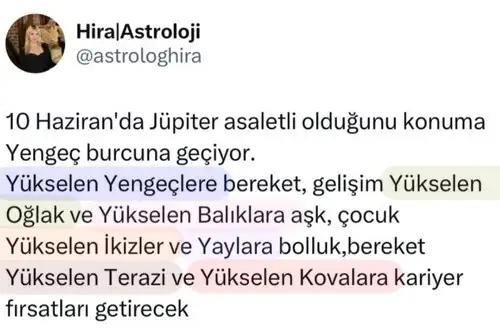 jü y.webp