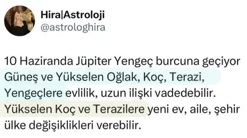 jü2 yeng (1).webp