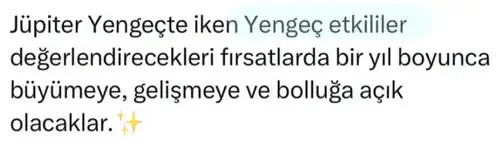 jü2 yeng (3).webp