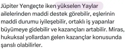 jü2 yeng (5).webp