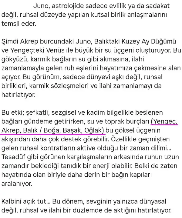 juno akr (2).webp