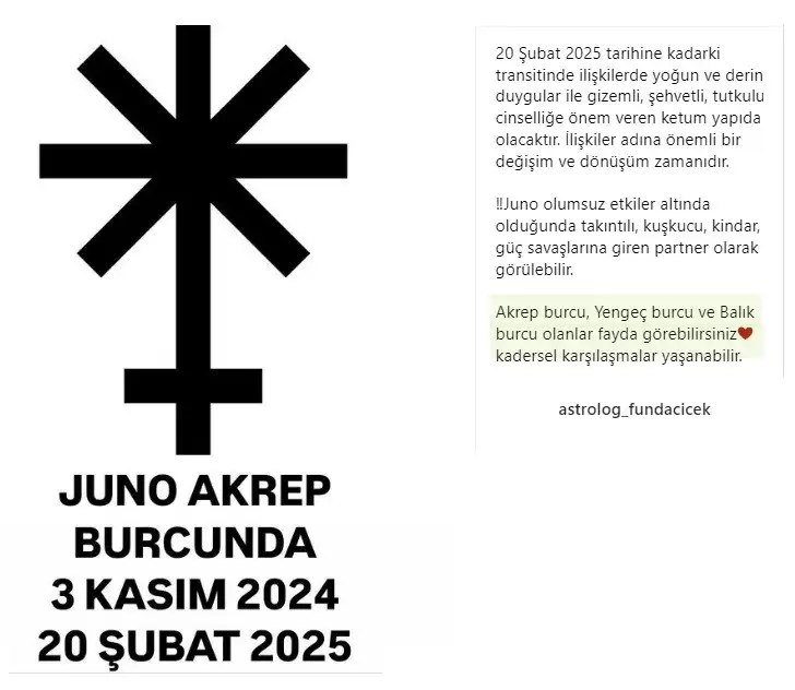 juno akrep.webp