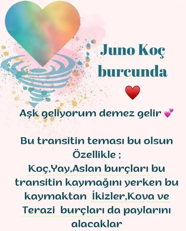 juno koç (1).webp