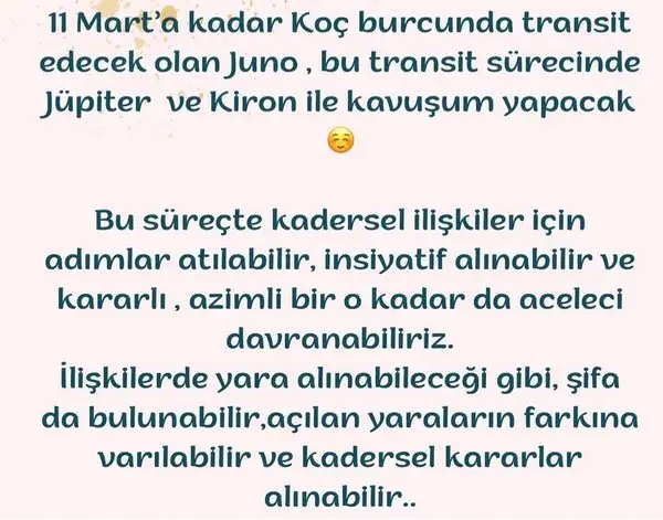 juno koç (2).webp