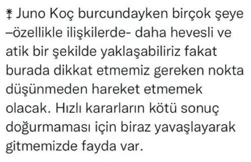 juno koç1 (2).webp