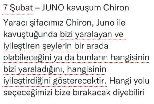 juno koç1 (5).webp