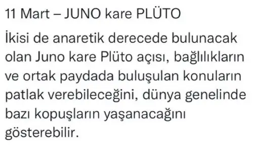 juno koç1 (6).webp