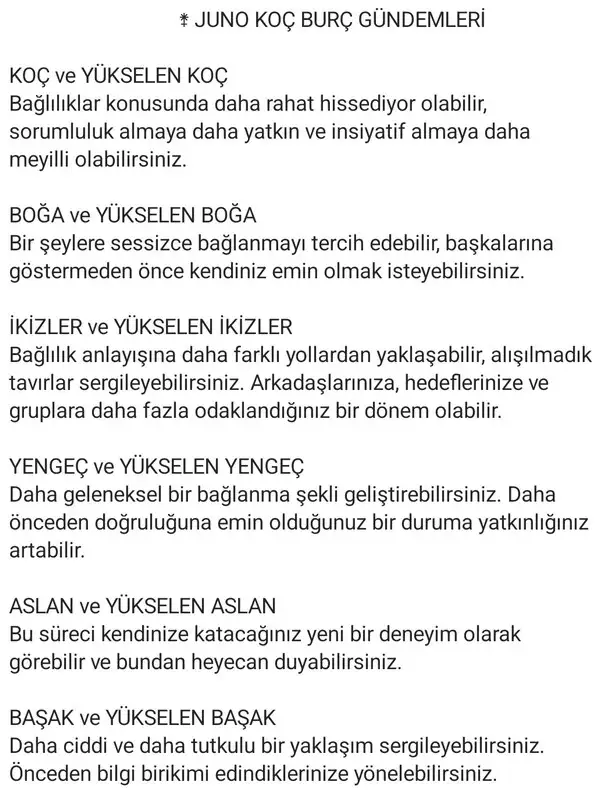 juno koç1 (7).webp