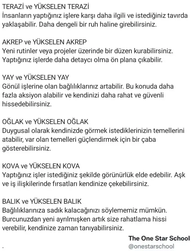 juno koç1 (8).webp