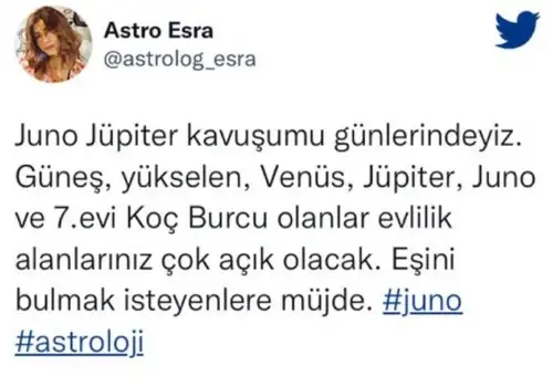 juno.webp