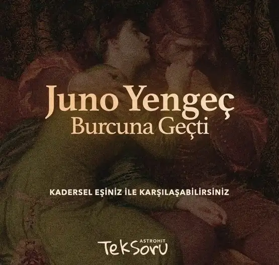 juno yengeç (1).webp