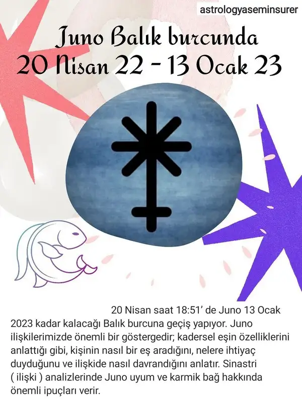 juno1 (1).webp